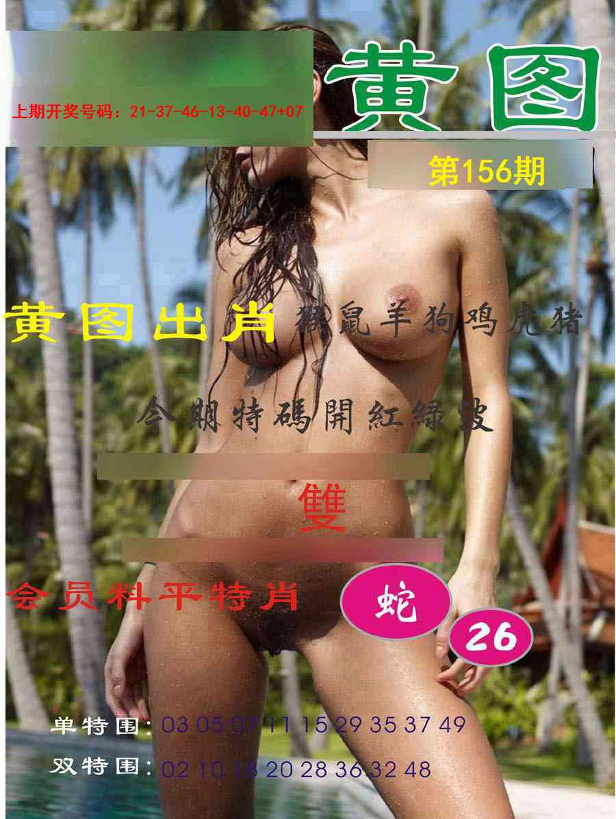 156期黄图[图]
